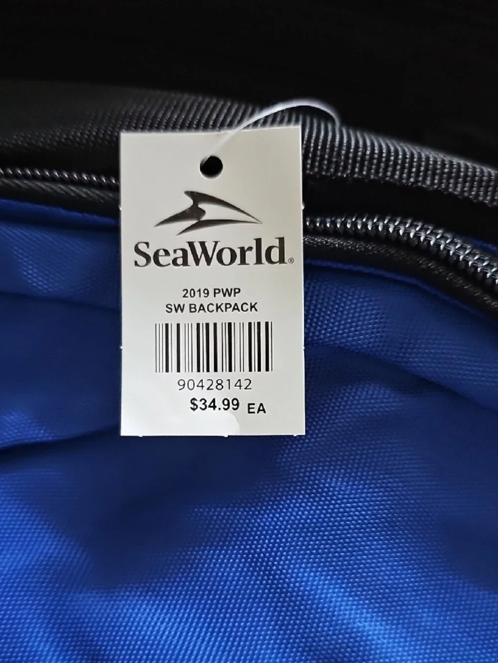 Blue & Black Everyday Backpack